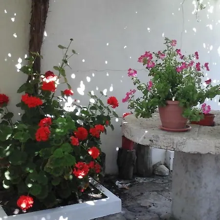 Patio Mateus *