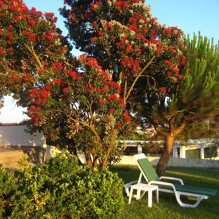 Patio Mateus Holiday home *
